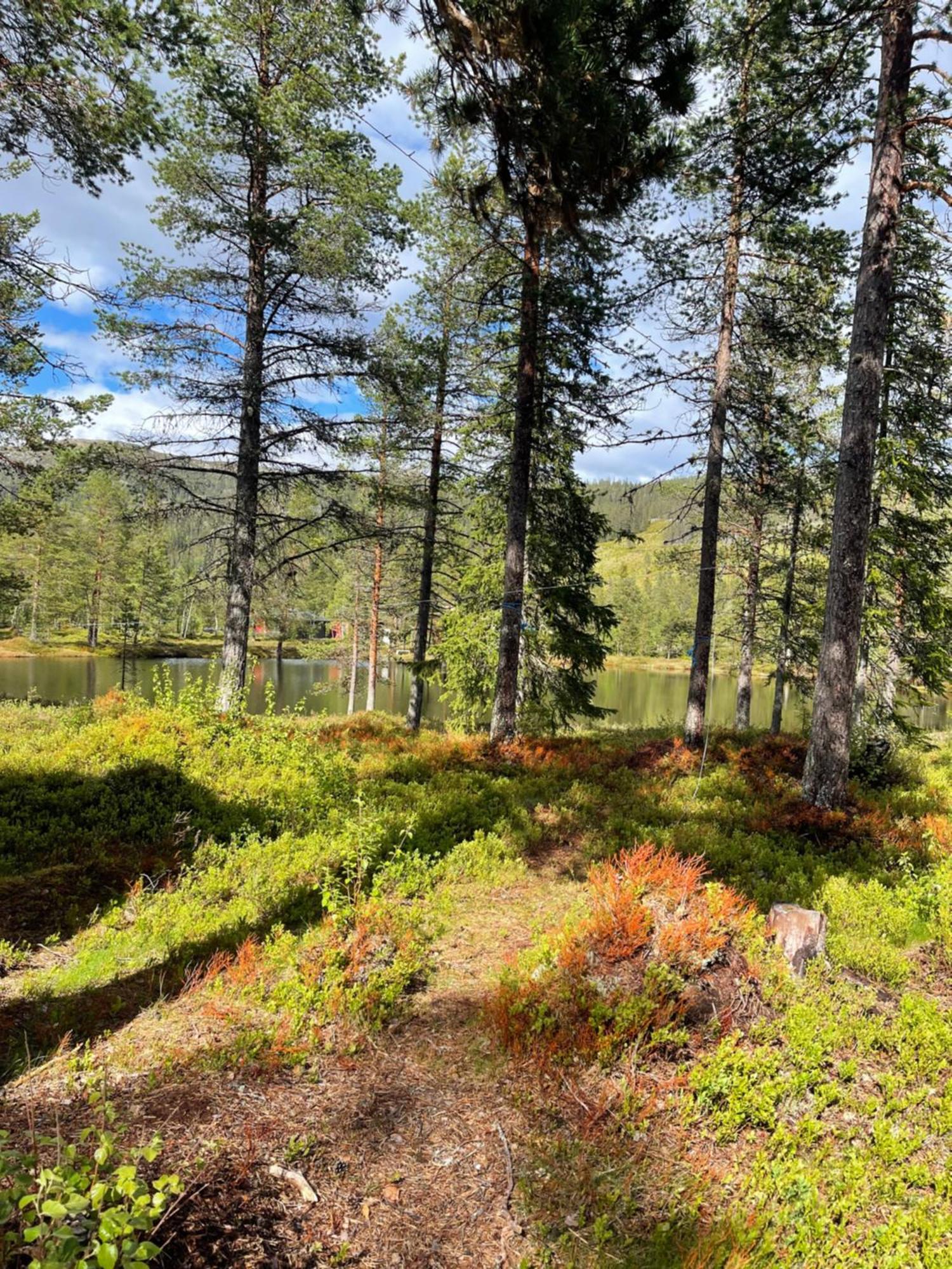 Hytta Pa Oyfjell Βίλα Εξωτερικό φωτογραφία